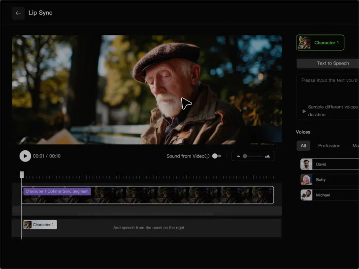 Add Audio or Enter a Script